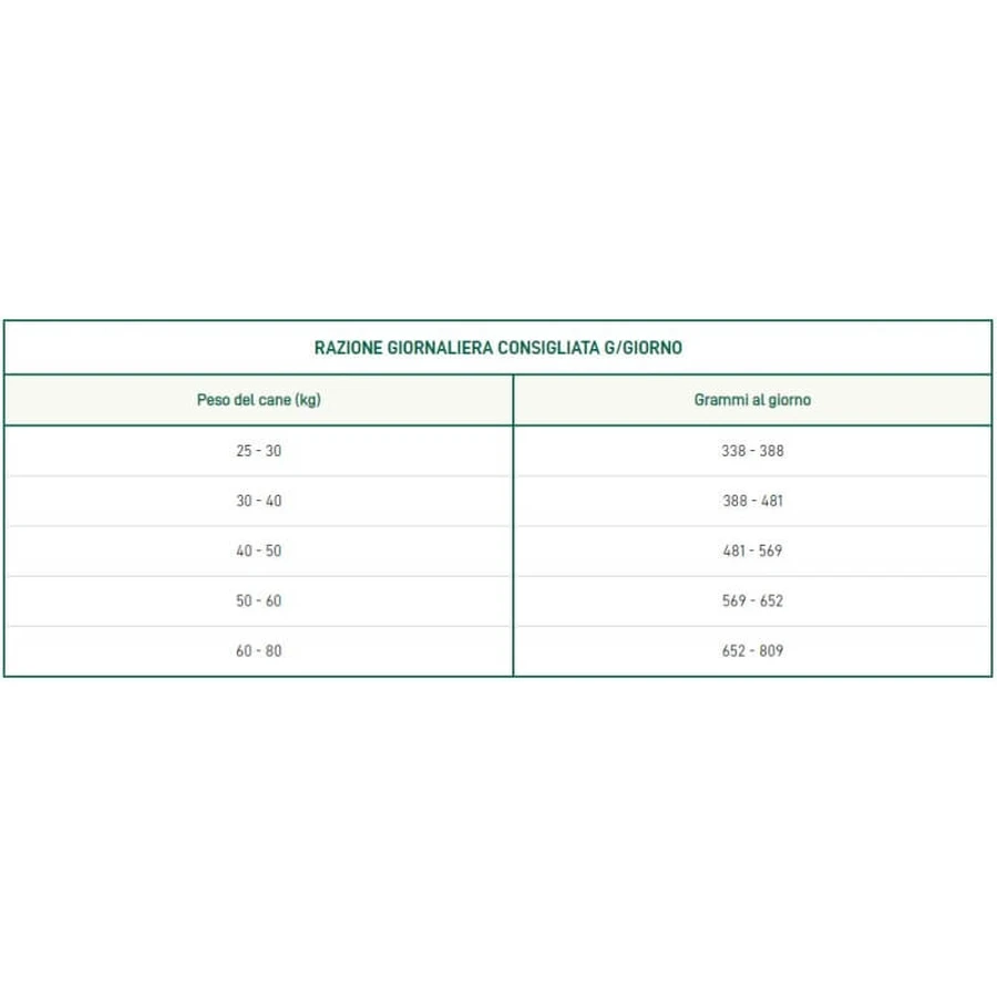 Oasy Adult Large met vissmaak – Compleet voer voor grote en reusachtige volwassen honden, 3 kg