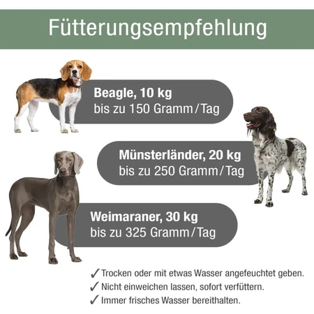 Platinum Vetactive Sensitive à la dinde - Aliment complet pour chiens présentant une sensibilité gastro-intestinale, 5 kg