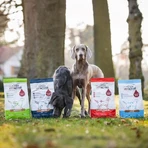 Platinum Vetactive Sensitive à la dinde - Aliment complet pour chiens présentant une sensibilité gastro-intestinale, 5 kg