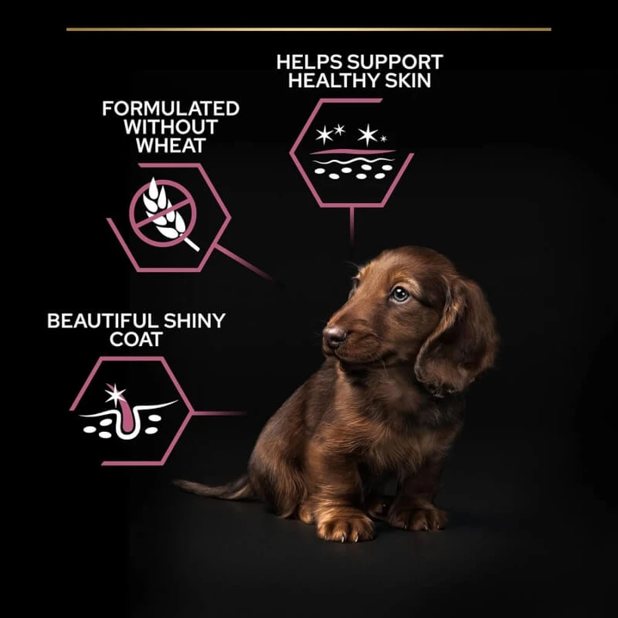Purina Pro Plan Zalm - Compleet voer voor volwassen kleine en miniatuurhonden met een gevoelige huid, 3 kg