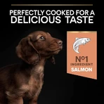 Purina Pro Plan Zalm - Compleet voer voor volwassen kleine en miniatuurhonden met een gevoelige huid, 3 kg