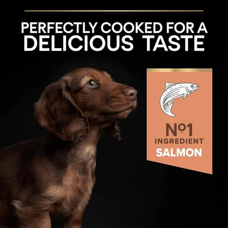 Purina Pro Plan Zalm - Compleet voer voor volwassen kleine en miniatuurhonden met een gevoelige huid, 3 kg