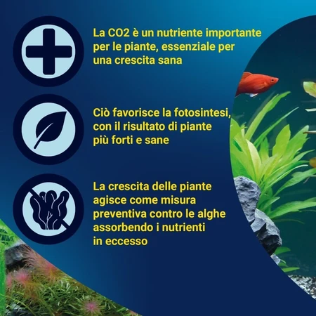 Tetra CO2 Depot – butla z CO₂ o pojemności 11 g do akwariów: ceny i cechy