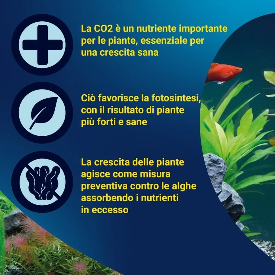 Tetra CO2 Depot – butla z CO₂ o pojemności 11 g do akwariów: ceny i cechy