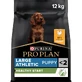 Purina Pro Plan Large Athletic Healthy Start Puppy with Chicken - Complete Dog Food, 12 kg