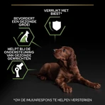 Purina Pro Plan Large Athletic Healthy Start Puppy met kip – Compleet hondenvoer, 12 kg