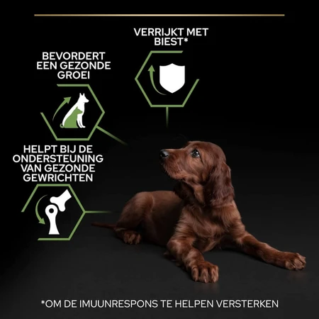 Purina Pro Plan Large Athletic Healthy Start Puppy met kip – Compleet hondenvoer, 12 kg