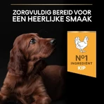 Purina Pro Plan Large Athletic Healthy Start Puppy met kip – Compleet hondenvoer, 12 kg