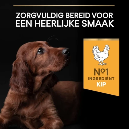 Purina Pro Plan Large Athletic Healthy Start Puppy met kip – Compleet hondenvoer, 12 kg