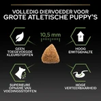 Purina Pro Plan Large Athletic Healthy Start Puppy met kip – Compleet hondenvoer, 12 kg