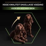 Purina Pro Plan Large Athletic Healthy Start Puppy met kip – Compleet hondenvoer, 12 kg