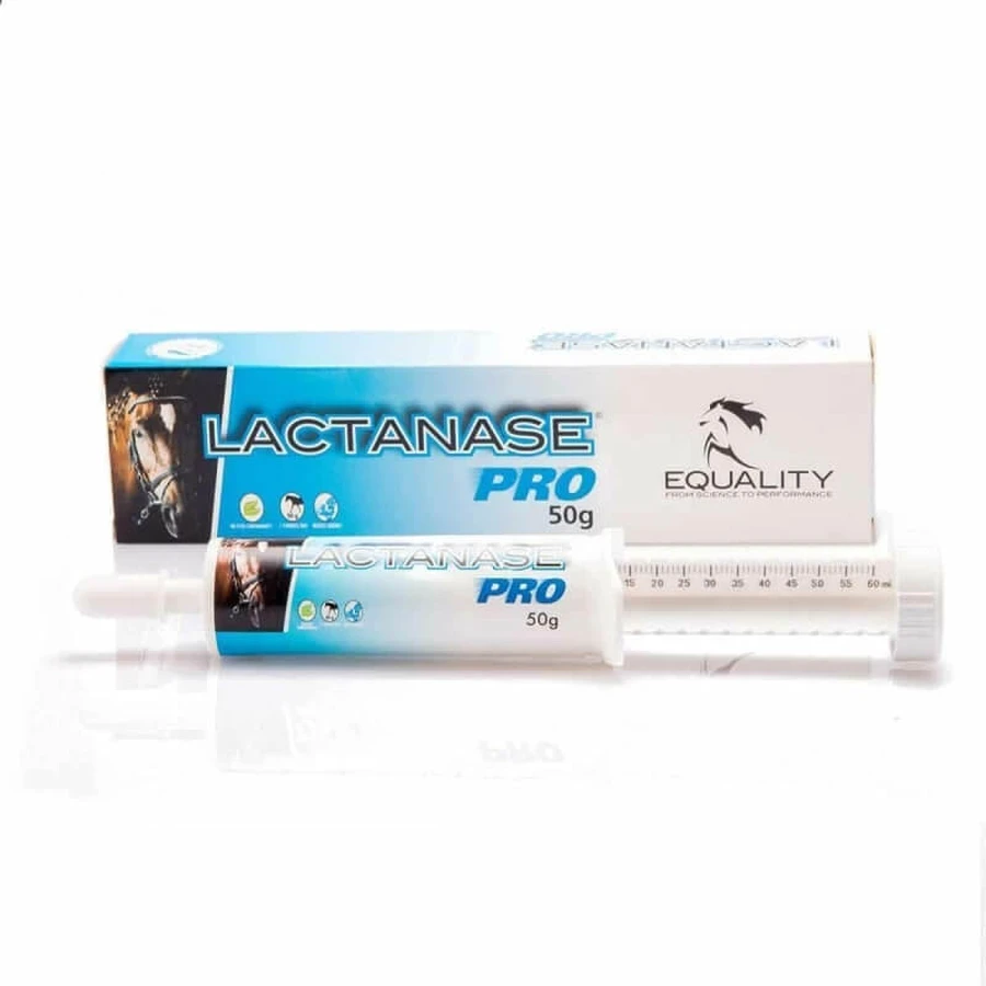 Equality Lactanase Pro Pasta - aanvullend voer voor paarden, 50 g