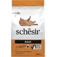 Schesir Adult Chicken Maintenance - Pienso completo para gatos adultos, 1,5 kg