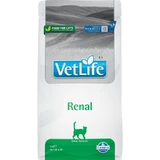 Farmina Vet Life Renal - Complete Food for Cats with Kidney Failure, 2 kg