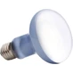 Exo Terra Pt2132 Sun Glo R20-75W – lampă de zi cu neodim cu spectru larg pentru reptile și plante, cu raze UVA