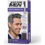 Just for Men "Touch of Gray" Brown Hair Color Treatment