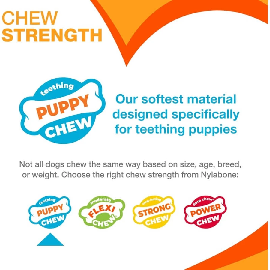 Clés de dentition Nylabone pour chiots - Clés à mâcher pour la dentition des chiots, saveur bacon, taille moyenne