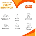 Clés de dentition Nylabone pour chiots - Clés à mâcher pour la dentition des chiots, saveur bacon, taille moyenne