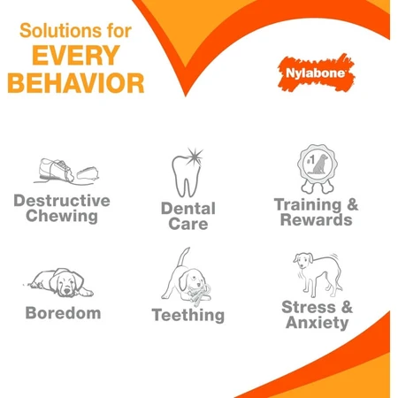 Clés de dentition Nylabone pour chiots - Clés à mâcher pour la dentition des chiots, saveur bacon, taille moyenne