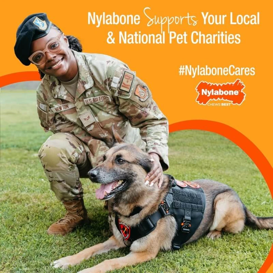 Clés de dentition Nylabone pour chiots - Clés à mâcher pour la dentition des chiots, saveur bacon, taille moyenne