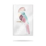 Pupa Parrot – Lidschattenpalette Nr. 002 Bahia