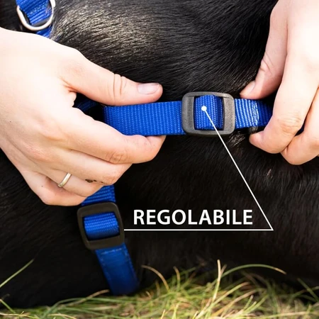 Ferplast Daytona extra large blu - pettorina per cani in nylon imbottita regolabile