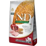 Farmina N&amp;d Ancestral Grain Adult Medium &amp; Maxi Huhn und Granatapfel – Alleinfuttermittel für ausgewachsene Hunde, 12 kg