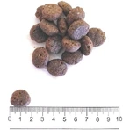 Prolife Dualfresh Adult Medium-Large Zalm, Kabeljauw & Rijst - Compleet voer voor volwassen honden van middelgroot tot groot formaat, 12 kg