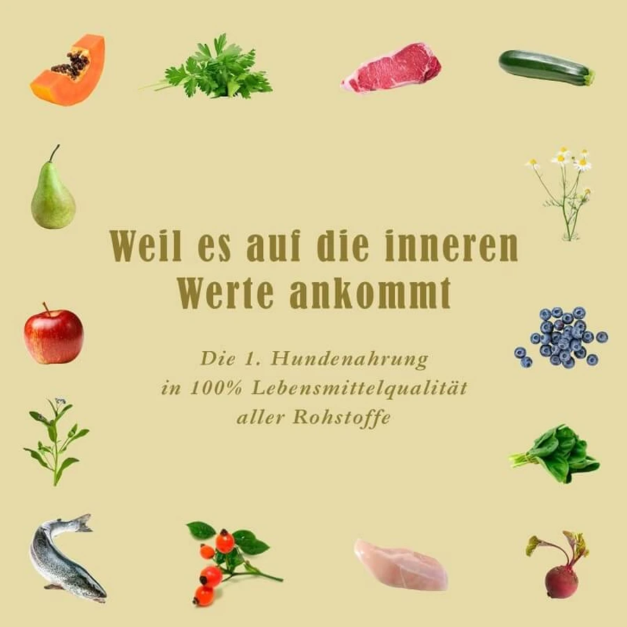 Terra Canis Canipé - Dog Snacks with Rabbit, Vegetables, and Apricot, 200 g