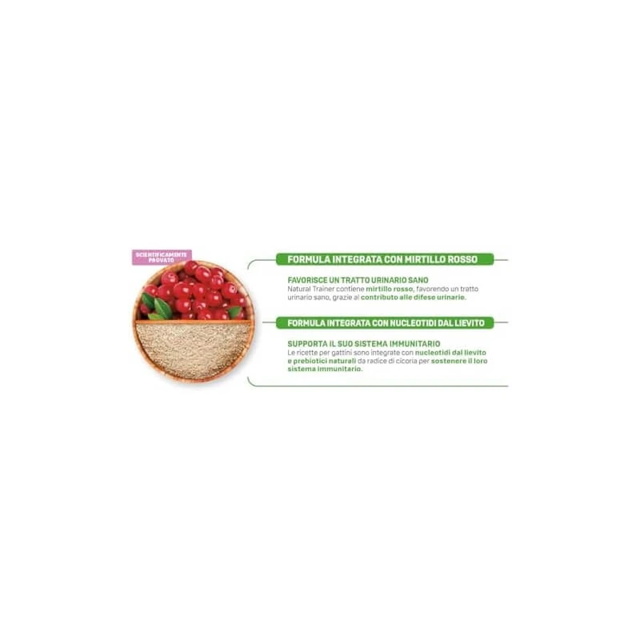 Natural Trainer Kitten &amp; Young mit Lachs – Alleinfuttermittel für Kätzchen sowie trächtige oder säugende Katzen, 1,5 kg