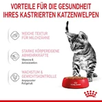 Royal Canin Kitten Sterilized – Alleinfuttermittel für kastrierte Katzen im Alter von 6 bis 12 Monaten, 85 g