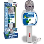 Bontempi draadloze microfoon met luidspreker