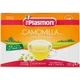 Plasmon