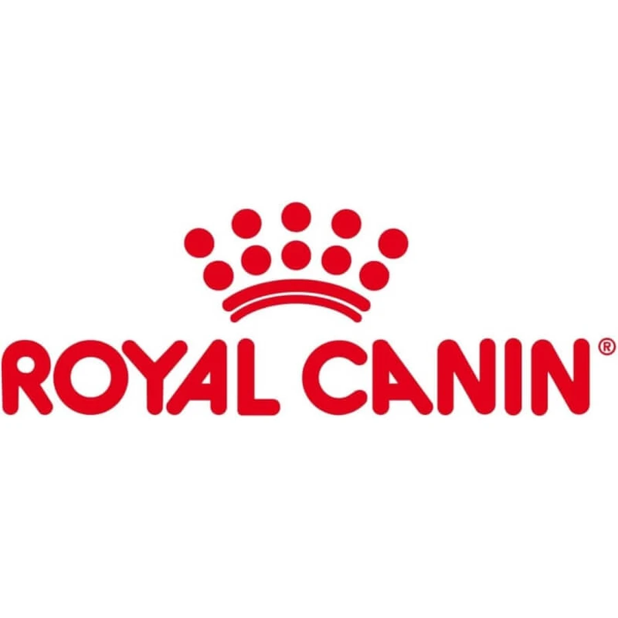 Royal Canin Treats – Snacks für Hunde mit Magen-Darm-Problemen, 230 g