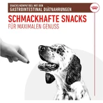 Royal Canin Treats – Snacks für Hunde mit Magen-Darm-Problemen, 230 g