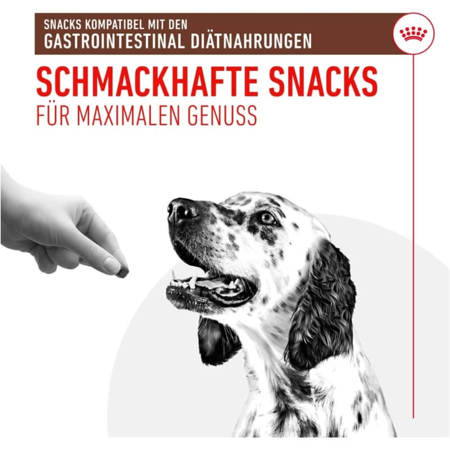 Royal Canin Treats – Snacks für Hunde mit Magen-Darm-Problemen, 230 g