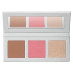 Diego dalla Palma Icy Bloom - Face Powder Palette No. 356