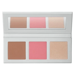 Diego dalla Palma Icy Bloom - Face Powder Palette No. 356