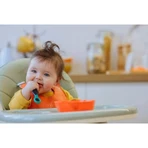 Tommee Tippee Smushee - 2 lepeltjes voor de overgang naar vaste voeding