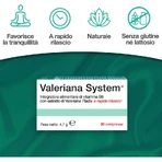 Valeriana System 30 Tabletten – ein Nahrungsergänzungsmittel zur Förderung des Schlafes