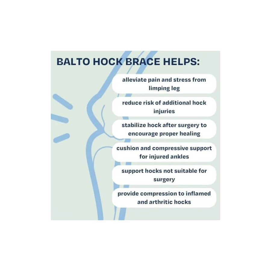Balto Hock - tutore garretto con stecche rigide e regolabili taglia xxs (2-5 kg)