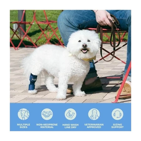 Balto Hock - tutore garretto con stecche rigide e regolabili taglia xxs (2-5 kg)