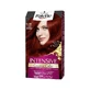 Crèmes colorantes intensives Palette - Coloration permanente n° 6.88 Rouge rubis (emballage endommagé)