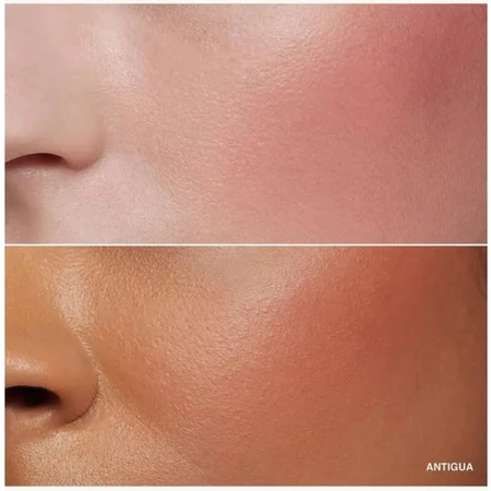Fard à joues en poudre Bobbi Brown - Fard à joues en poudre - Antigua