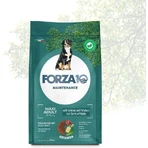 Forza10 Maintenance Maxi Adult mit Wild und Kartoffeln – Alleinfuttermittel für Hunde, 12 kg