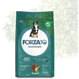 Forza10 Maintenance Maxi Adult mit Wild und Kartoffeln – Alleinfuttermittel für Hunde, 12 kg