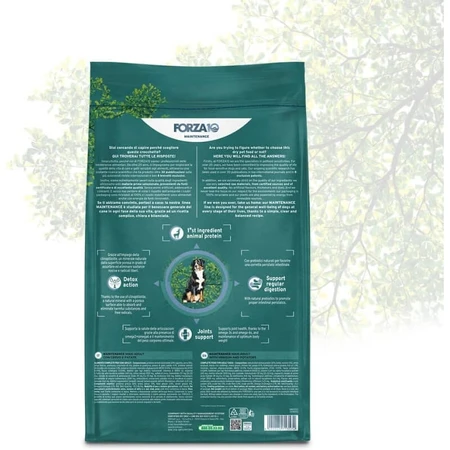 Forza10 Maintenance Maxi Adult mit Wild und Kartoffeln – Alleinfuttermittel für Hunde, 12 kg