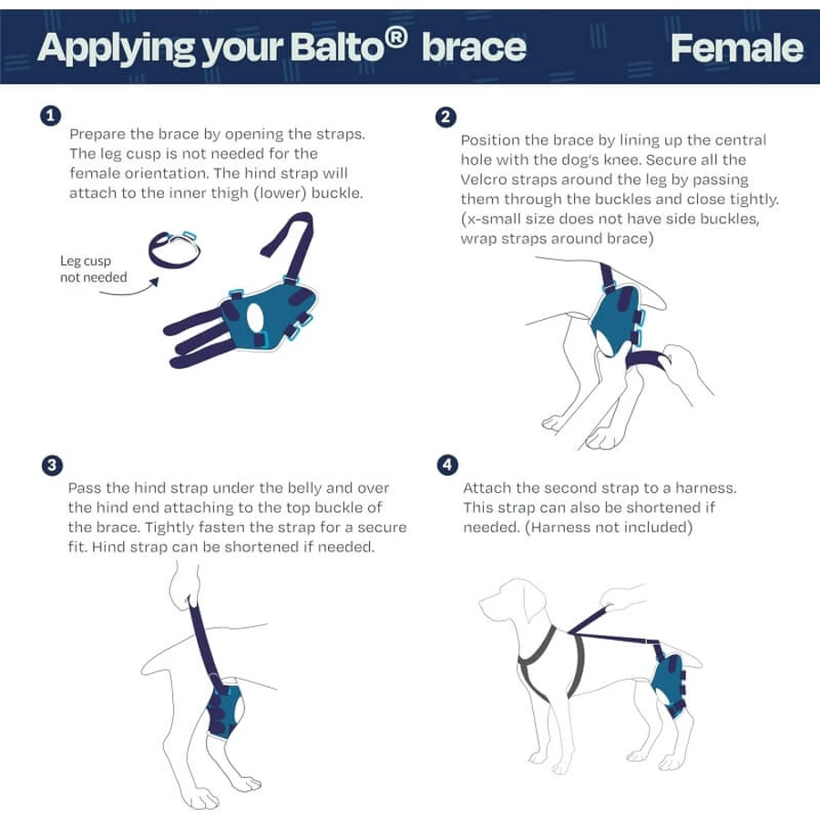 Balto Jump – ortopedyczna orteza kolana dla małych psów (lewe kolano), rozmiar S: ceny i cechy