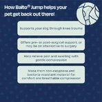 Balto Jump – ortopedyczna orteza kolana dla małych psów (lewe kolano), rozmiar S: ceny i cechy