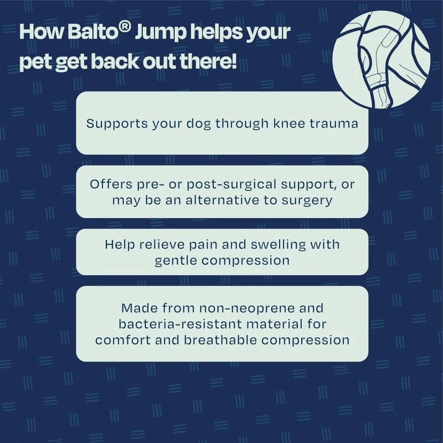 Balto Jump – ortopedyczna orteza kolana dla małych psów (lewe kolano), rozmiar S: ceny i cechy